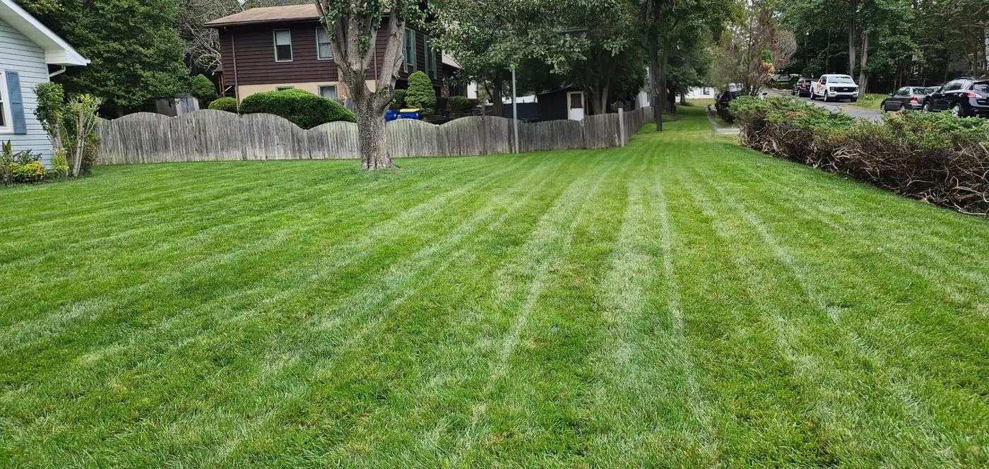 Lawn Mowing Cost in Fredericksburg, VA | Sisters With A Mower