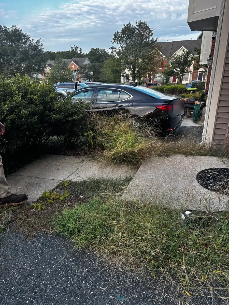 Overgrown grass and weeds spilling across the walkway and front bed before cleanup
